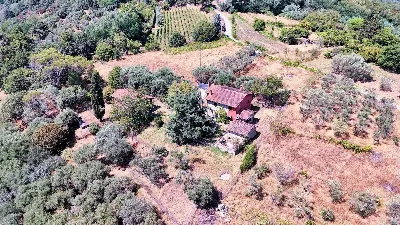 Rustico/Casale in vendita a Uzzano - foto 3