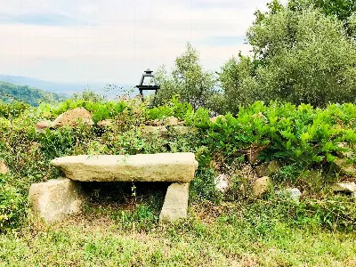 Rustico/Casale in vendita a Massa e Cozzil... - foto 9