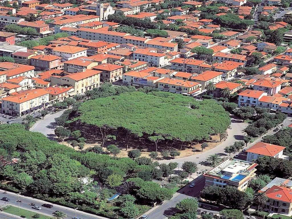 Villa in vendita a Forte dei Marmi - foto 2