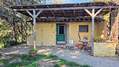 Rustico/Casale in vendita a Monterotondo M... - foto 5