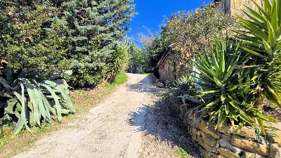 Rustico/Casale in vendita a Monterotondo M... - foto 8