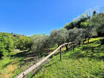 Rustico/Casale in vendita a Montopoli in V... - foto 10