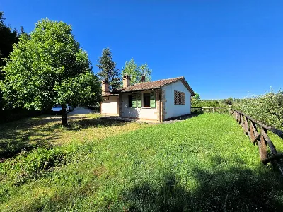 Rustico/Casale in vendita a Montopoli in V... - foto 2