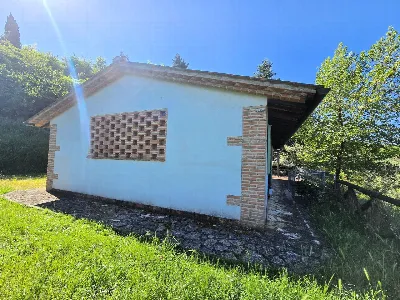 Rustico/Casale in vendita a Montopoli in V... - foto 4