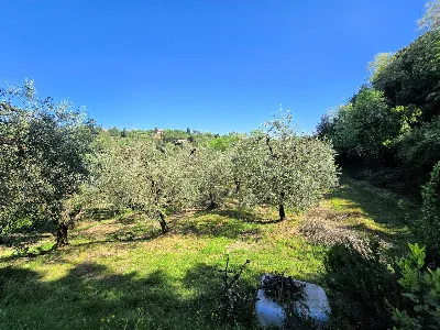 Rustico/Casale in vendita a Montopoli in V... - foto 9