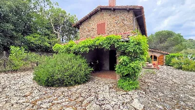 Rustico/Casale in vendita a Suvereto - foto 3