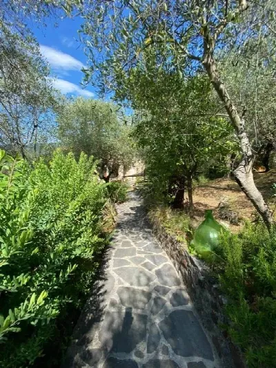 Rustico/Casale in vendita a Camaiore - foto 9