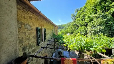 Rustico/Casale in vendita a Roccastrada - foto 5