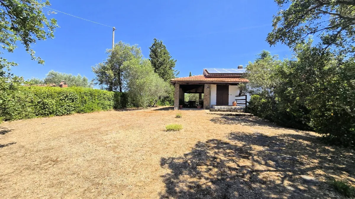 Villa in vendita a Scansano - foto 2