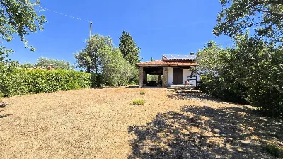 Villa in vendita a Scansano - foto 2