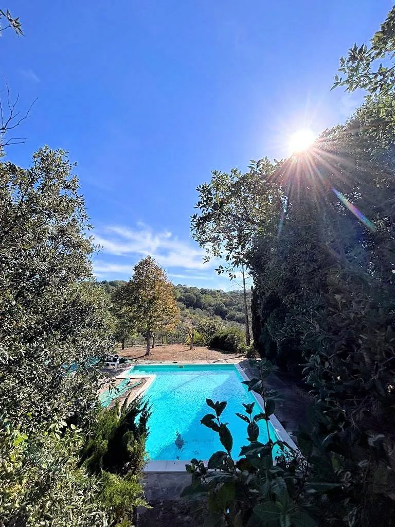 Villa in vendita a Scansano - foto 3