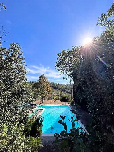 Villa in vendita a Scansano - foto 3