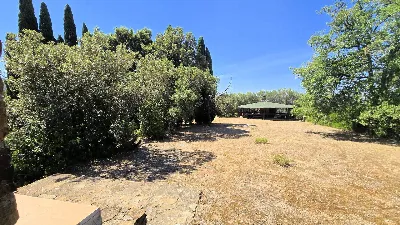 Villa in vendita a Scansano - foto 6