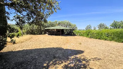 Villa in vendita a Scansano - foto 8