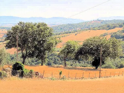 Rustico/Casale in vendita a Magliano in To... - foto 4