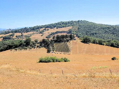 Rustico/Casale in vendita a Magliano in To... - foto 6