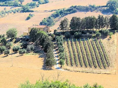 Rustico/Casale in vendita a Magliano in To... - foto 8