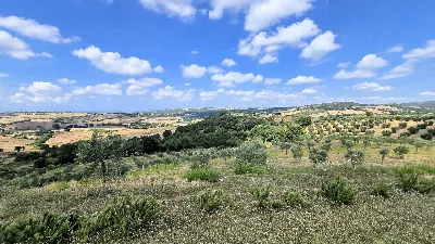 Villa in vendita a Magliano in Toscana - foto 10