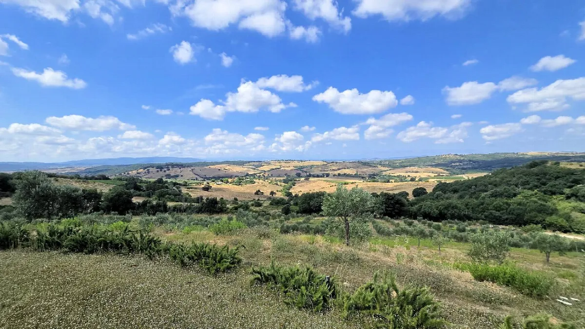 Villa in vendita a Magliano in Toscana - foto 4