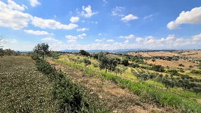 Villa in vendita a Magliano in Toscana - foto 8