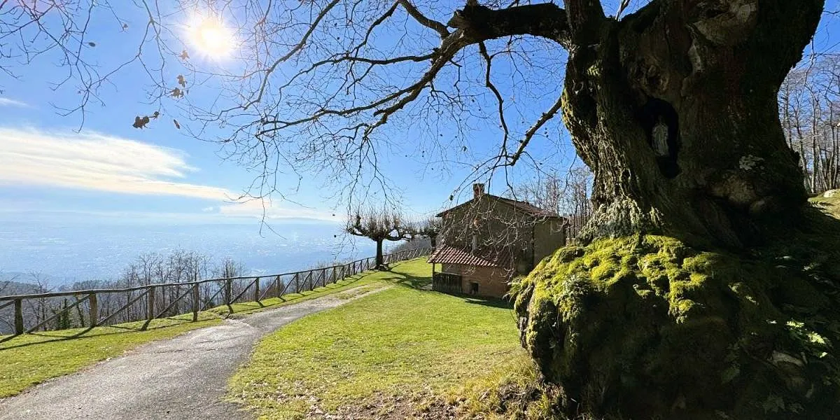 Rustico/Casale in vendita a Massa e Cozzile - foto 5