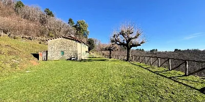 Rustico/Casale in vendita a Massa e Cozzil... - foto 9