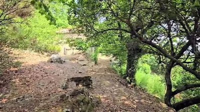 Rustico/Casale in vendita a Roccastrada - foto 2