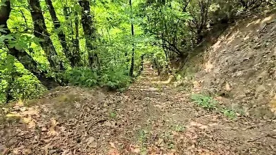 Rustico/Casale in vendita a Roccastrada - foto 4