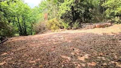 Rustico/Casale in vendita a Roccastrada - foto 6