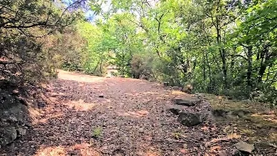 Rustico/Casale in vendita a Roccastrada - foto 7
