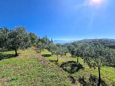 Rustico/Casale in vendita a Larciano - foto 10