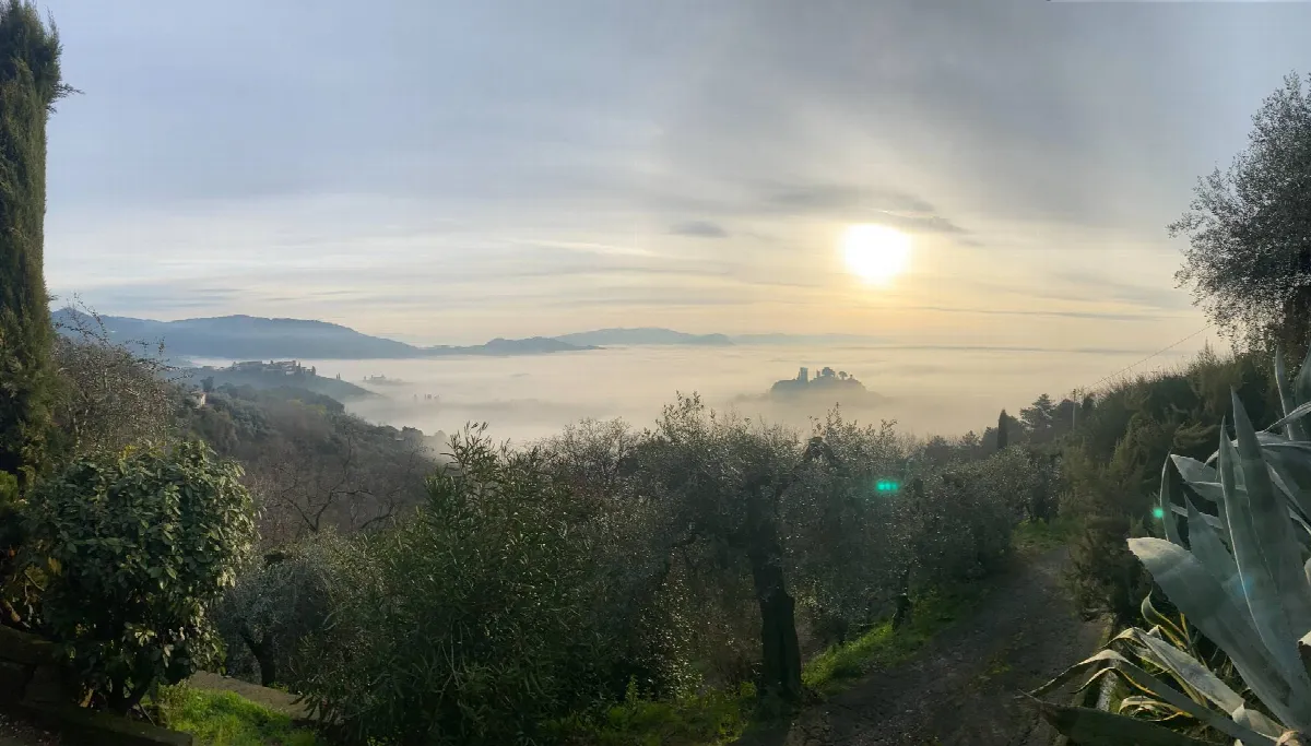Rustico/Casale in vendita a Buggiano - foto 3