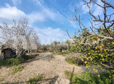 Rustico/Casale in vendita a Scicli - foto 8