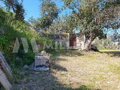 Rustico/Casale in vendita a Modica - foto 5