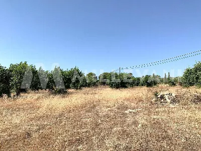 Rustico/Casale in vendita a Scicli - foto 10
