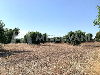 Rustico/Casale in vendita a Scicli - foto 8