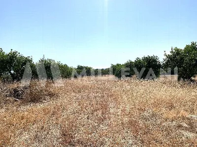 Rustico/Casale in vendita a Scicli - foto 9