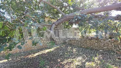 Rustico/Casale in vendita a Scicli - foto 2