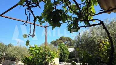Rustico/Casale in vendita a Scicli - foto 8