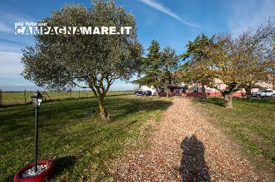 Rustico/Casale in vendita a Codigoro - foto 9