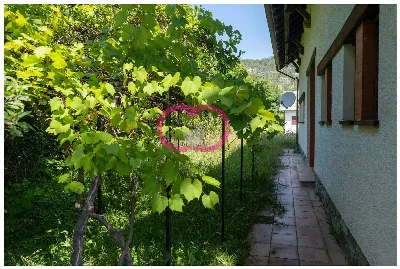 Casa Indipendente in vendita a Tiglieto - foto 9
