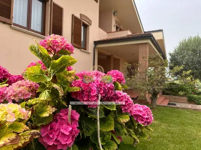 Villa in vendita a Giulianova - foto 3