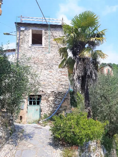 Rustico/Casale in vendita a Ranzo - foto 1