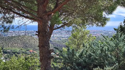 Villa in vendita a Cisano sul Neva - foto 7