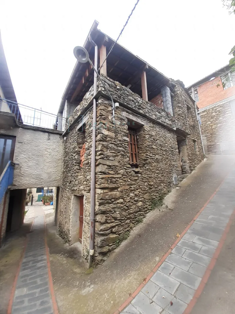 Rustico/Casale in vendita a Borghetto d'Arroscia - foto 1