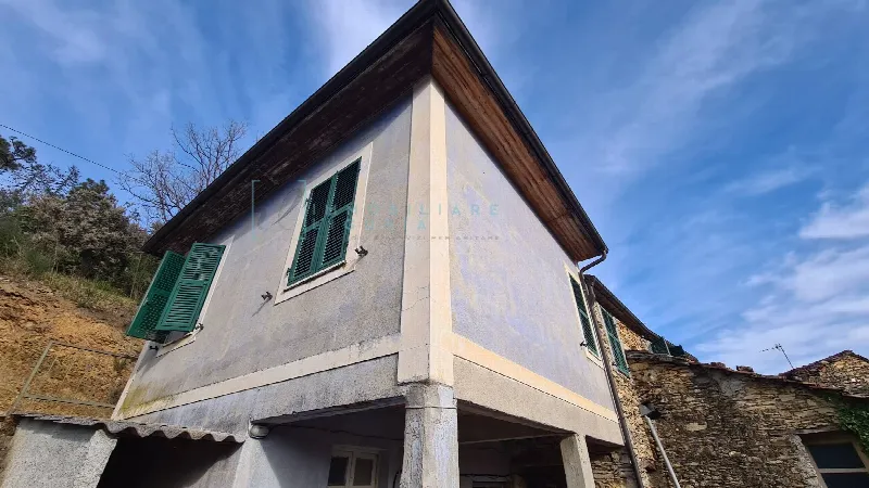Rustico/Casale in vendita a Casanova Lerrone - foto 1