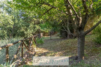 Villa in vendita a Cisano sul Neva - foto 10