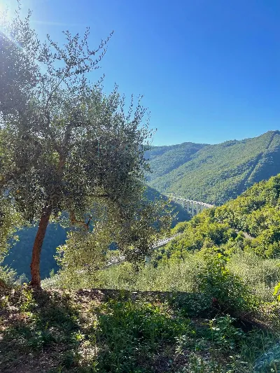 Rustico/Casale in vendita a Pieve di Teco - foto 1
