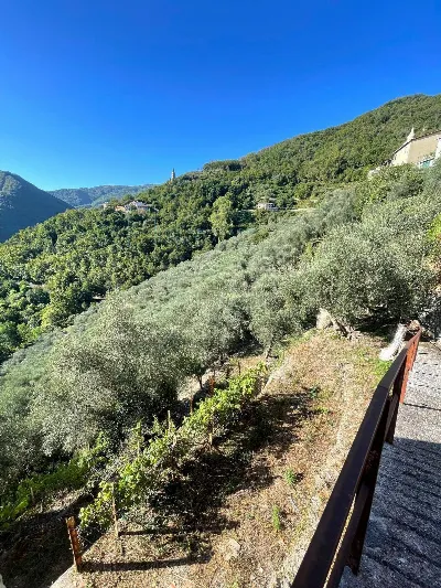 Rustico/Casale in vendita a Pieve di Teco - foto 2