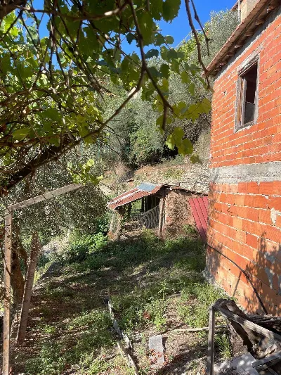Rustico/Casale in vendita a Pieve di Teco - foto 4